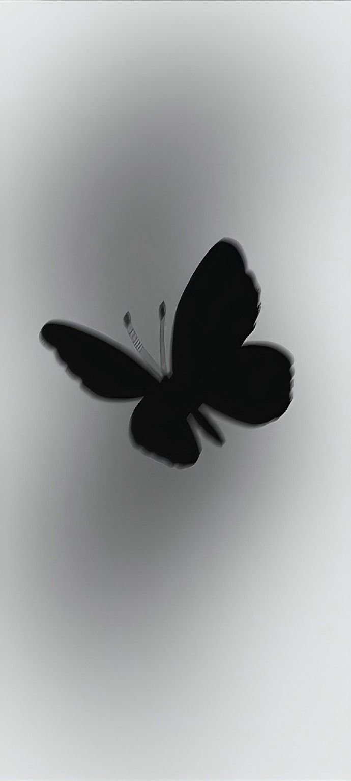 梦幻小众飞舞的蝴蝶图片手机壁纸 唯美的治愈系