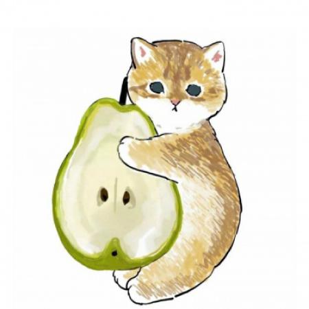 超萌猫咪抱水果动漫头像，手绘小猫可爱微信头像