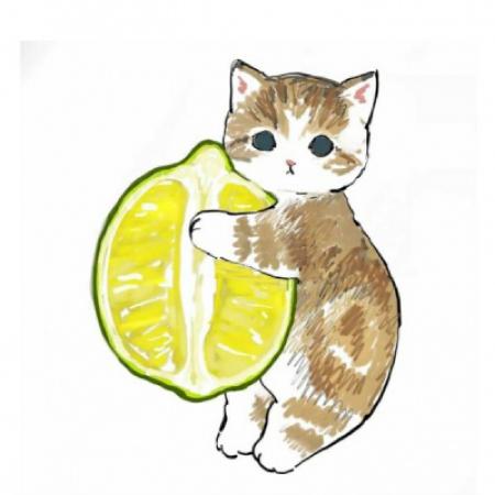 超萌猫咪抱水果动漫头像