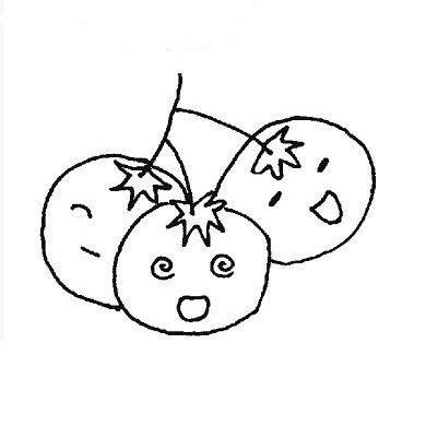 营养的西红柿简笔画头像