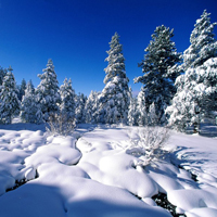 qq头像冬天雪景