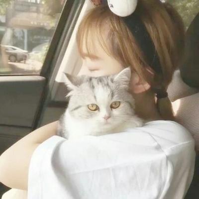 高清猫与女生的微信头像图片