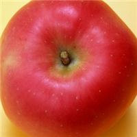 红苹果头像图片
