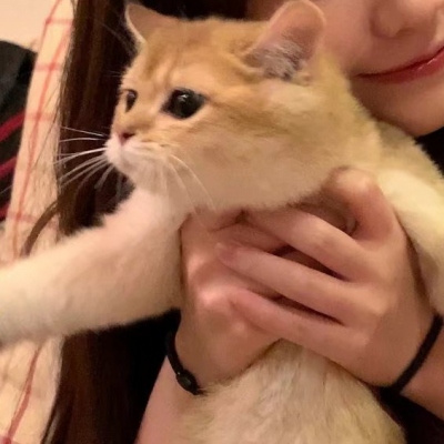 可爱女生抱猫闺蜜头像