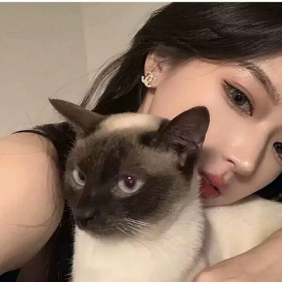 女生抱猫咪的头像图片