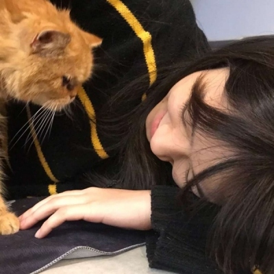 女生抱猫咪的头像图片