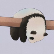 熊猫q版萌图头像,高清可爱的懒散q版头像熊猫图片