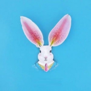 蓝底创意花瓣兔子头像图片