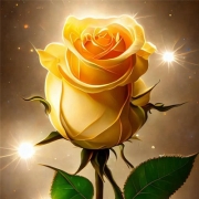 香槟金玫瑰唯美头像图片，尽显高贵